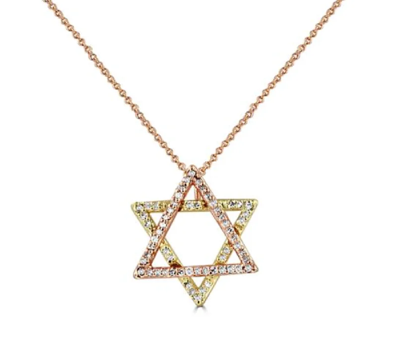 women's antique-style necklaces-14K Two-Tone Star of David Necklace